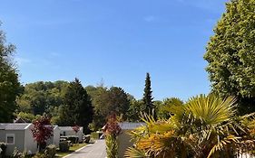 Domaine Du Blanc Pignon
